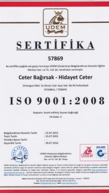 ISO 9001_742x1050